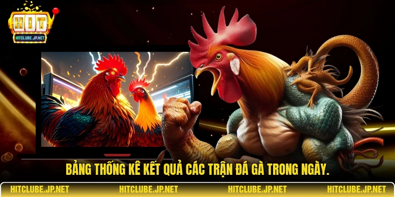  Bảng thống kê kết quả các trận đá gà trong ngày.