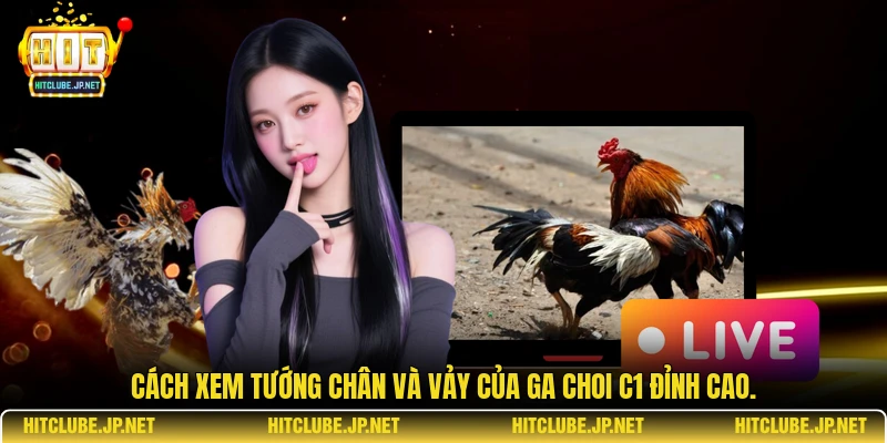 Cách xem tướng chân và vảy của ga choi C1 đỉnh cao.