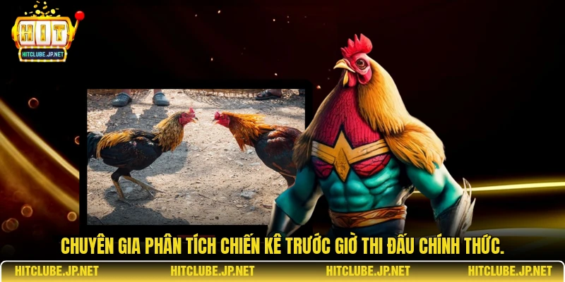 Chuyên gia phân tích chiến kê trước giờ thi đấu chính thức.