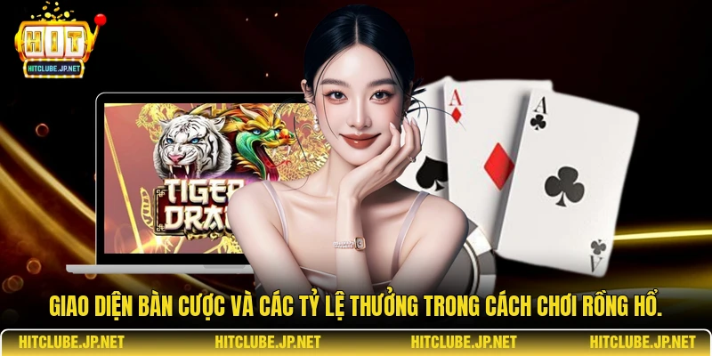 Giao diện bàn cược và các tỷ lệ thưởng trong cách chơi Rồng Hổ.