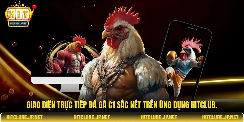 Giao diện trực tiếp đá gà C1 sắc nét trên ứng dụng Hitclub.