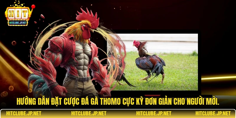Hướng dẫn đặt cược đá gà Thomo cực kỳ đơn giản cho người mới.