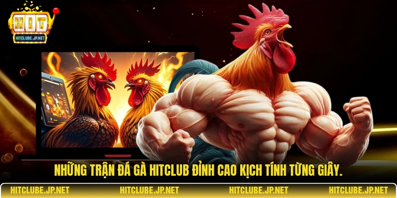 Những trận đá gà Hitclub đỉnh cao kịch tính từng giây.