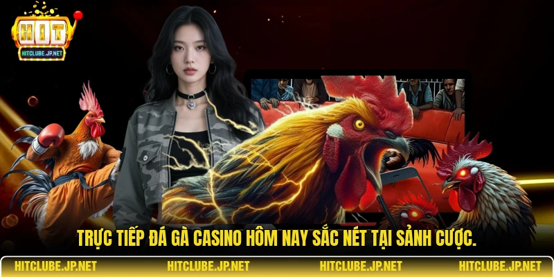 Trực tiếp đá gà casino hôm nay sắc nét tại sảnh cược.